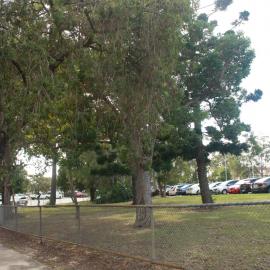 Redcliffe Hospital car park - 7