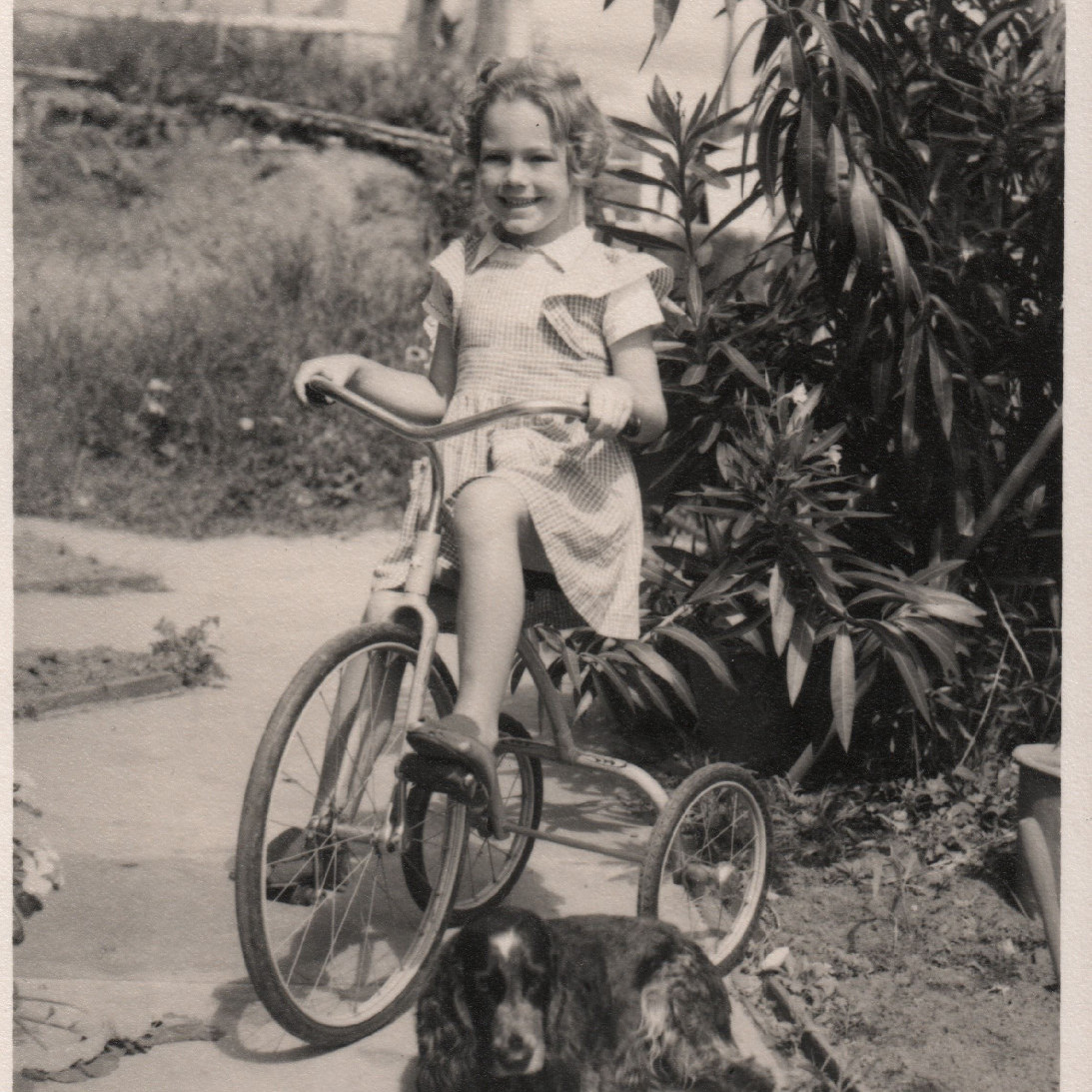 Dr Kamara Sydney-Smith Collection