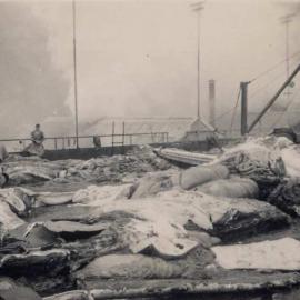 Tangalooma Whaling Station - 3