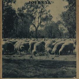 Queensland Agricultural Journal - November 1943