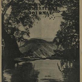 Queensland Agricultural Journal - December 1945