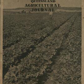Queensland Agricultural Journal - November 1946