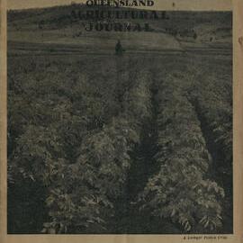 Queensland Agricultural Journal - January 1950