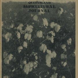 Queensland Agricultural Journal - July 1950
