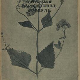 Queensland Agricultural Journal - October 1950