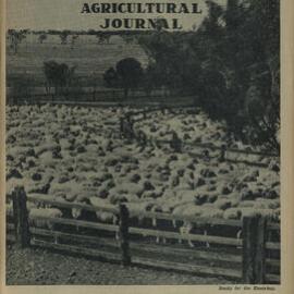 Queensland Agricultural Journal - June 1951