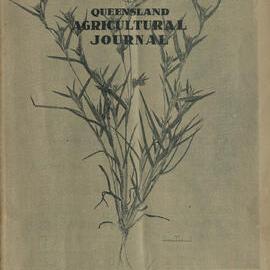 Queensland Agricultural Journal - July 1951