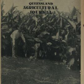 Queensland Agricultural Journal - September 1951