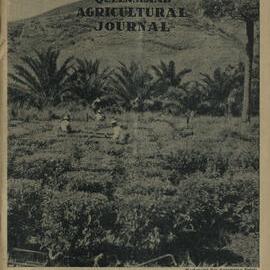 Queensland Agricultural Journal - November 1951
