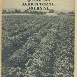 Queensland Agricultural Journal - November 1953