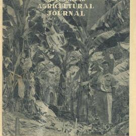 Queensland Agricultural Journal - July 1954