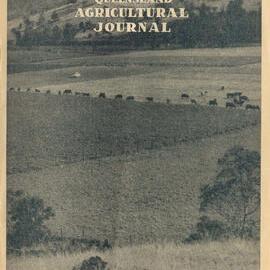 Queensland Agricultural Journal - November 1954