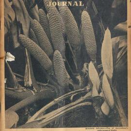 Queensland Agricultural Journal - January 1955
