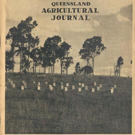 Queensland Agricultural Journal - May 1955