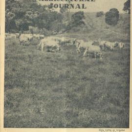 Queensland Agricultural Journal - September 1955