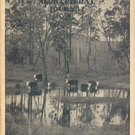 Queensland Agricultural Journal - November 1955