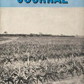 Queensland Agricultural Journal - May 1956