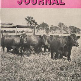 Queensland Agricultural Journal - July 1956