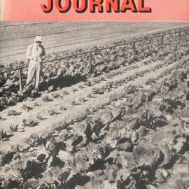 Queensland Agricultural Journal - October 1958