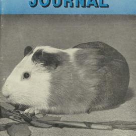 Queensland Agricultural Journal - November 1958