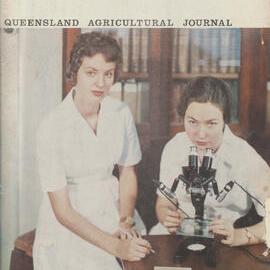 Queensland Agricultural Journal - May 1964