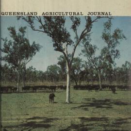 Queensland Agricultural Journal - July 1964