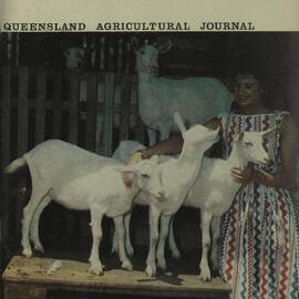 Queensland Agricultural Journal - September 1964