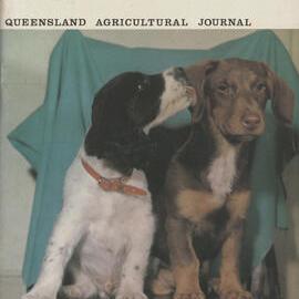 Queensland Agricultural Journal - January 1966