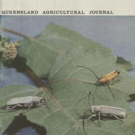 Queensland Agricultural Journal - June 1966