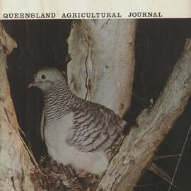 Queensland Agricultural Journal - November 1966
