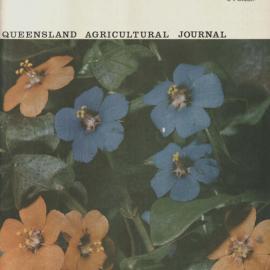 Queensland Agricultural Journal - December 1966