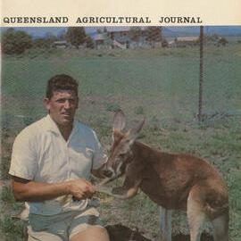 Queensland Agricultural Journal - August 1967