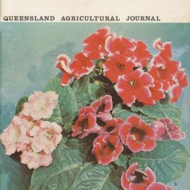 Queensland Agricultural Journal - December 1967