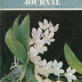 Queensland Agricultural Journal - June 1968