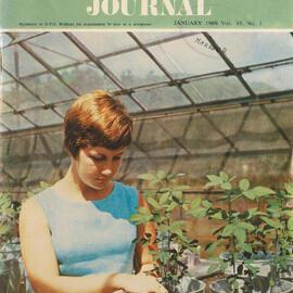 Queensland Agricultural Journal - January 1969