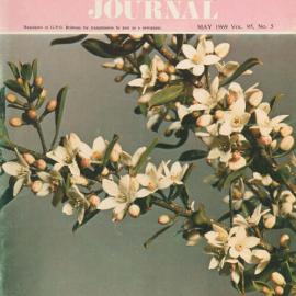 Queensland Agricultural Journal - May 1969