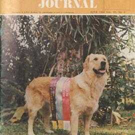 Queensland Agricultural Journal - June 1969