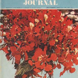 Queensland Agricultural Journal - December 1969