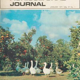 Queensland Agricultural Journal - January 1971