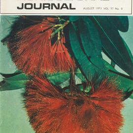 Queensland Agricultural Journal - August 1971