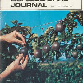 Queensland Agricultural Journal - July 1974