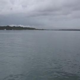 Ferryman Trip on Pumicestone Passage