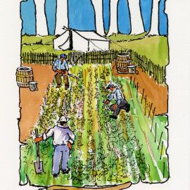 Redcliffe Convict Artwork - Growing Vegetables