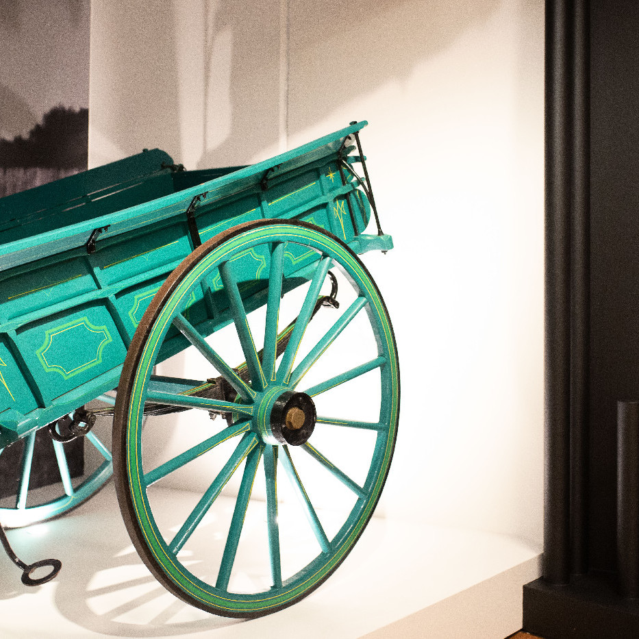 Life in the Pine Rivers region