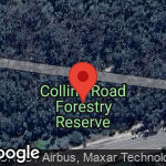 Collins Road Forestry Reserve (Central), Arana Hills (Qld.)