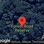 Forest Road Reserve 2, Cashmere (Qld.)