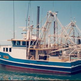 Fishing trawler in Boat Harbour