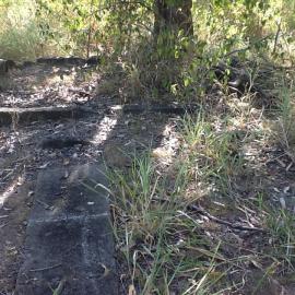 Remnants at Bunya School site