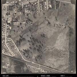 Caboolture Shire Council Sewerage Survey Aerial Photograph, Run 2, No. 86
