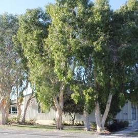 Bribie U3A - Before Extensions